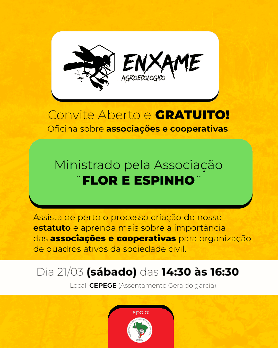 Registro de Campo 10