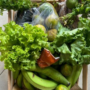CESTA AGROECOLÓGICA ESPECIAL DE NATAL
