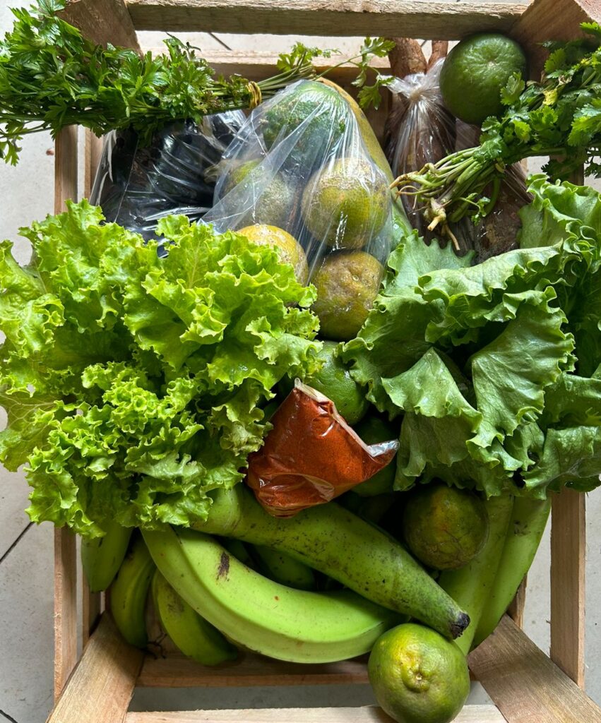 CESTA AGROECOLÓGICA ESPECIAL DE NATAL